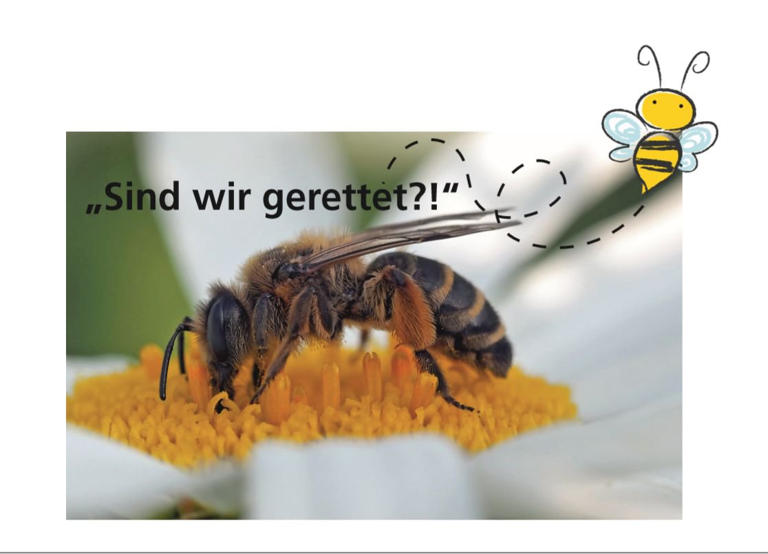 Bienen Danke