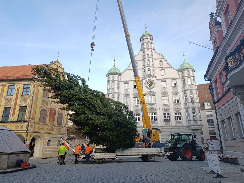 Weihnachtsbaum 2025