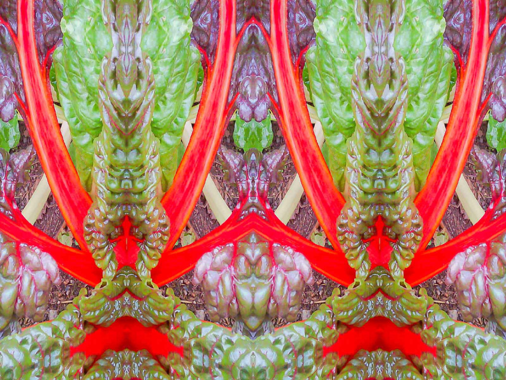 Fotografie _Fleisch_ Timo Brauchle
