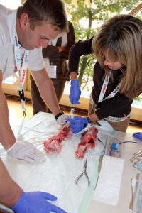 Notfallsymposium in der Memminger Stadthalle: Eine Teilnehmerin übt den künstlichen Luftröhrenschnitt. Archivfoto: Häfele/Pressestelle Klinikum Memmingen