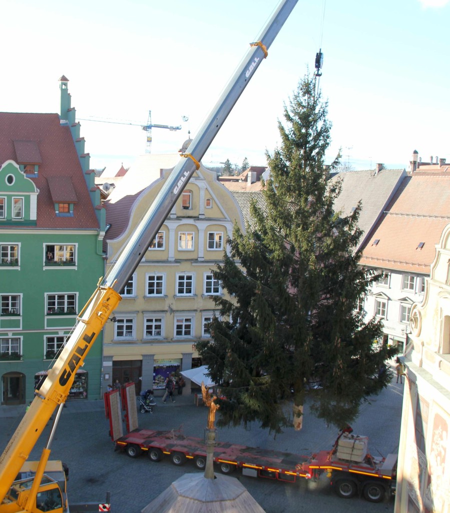 Weihnachtsbaum web
